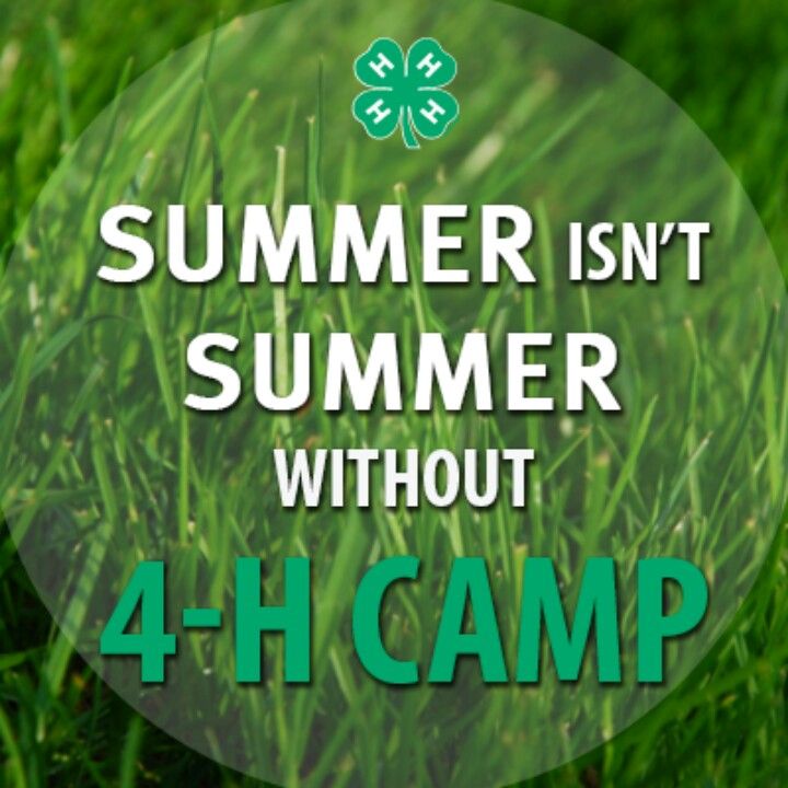 photo of grass with words "Summer Isn't Summer without 4-H Camp"