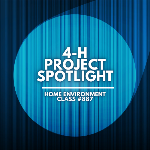 4-H project spotlight: home environment