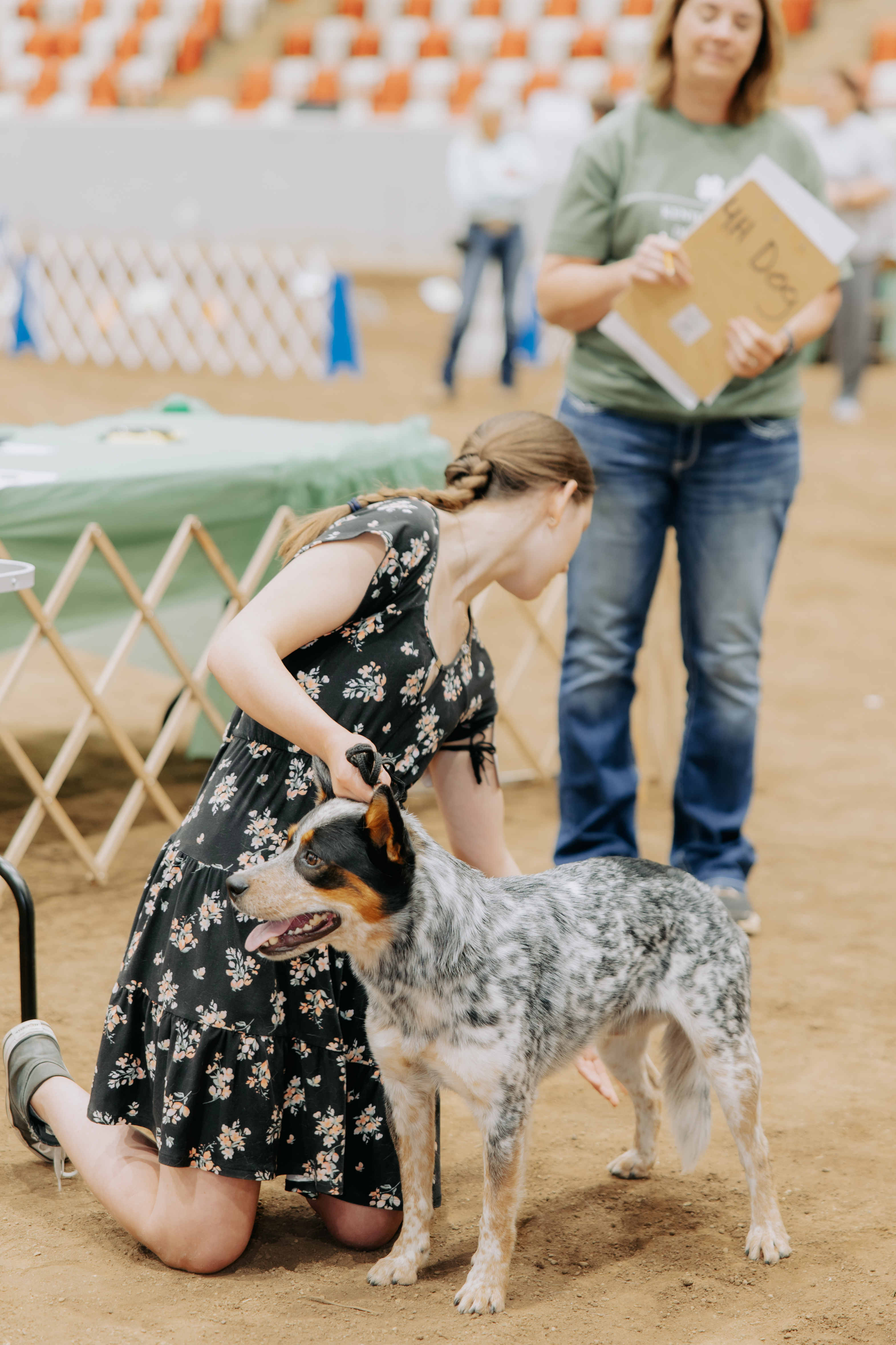 child showing dog